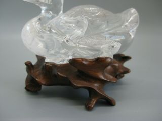 Fine Old Chinese Carved Rock Crystal Duck Statue Figure Carving w/Wood Stand 3