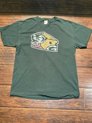 Vintage Wisconsin Badgers/ Green Bay Packers T Shirt Size Large