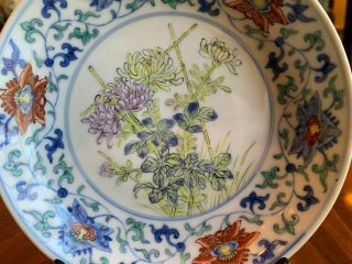 A Rare Chinese Qing Dynasty Doucai Porcelain Plate.