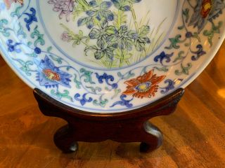 A Rare Chinese Qing Dynasty Doucai Porcelain Plate. 3