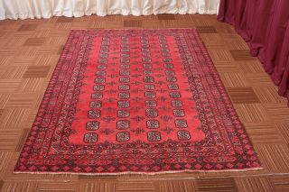 6x8 Oriental Classic Vintage Hand Knotted Wool Traditional Carpet Red Area Rug