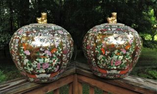 Pair Chinese Porcelain Ginger Jars W/ Foo Dogs Lids Golden Globes Flowers Huge
