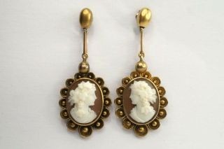 Lovely Antique Victorian Etruscan 15k Gold Carved Shell Cameo Earrings C1870