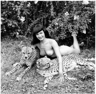 Rare Bettie Page 1954 Vintage Photograph Bunny Yeager Nude With Cheetah