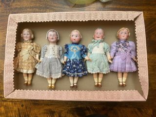 5 Antique Porcelain Head Dolls In A Box - Brothers Heubach