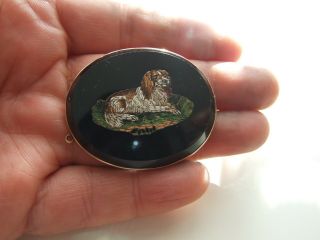 Antique Early Victorian Micro Mosaic Spaniel Dog Gold Brooch
