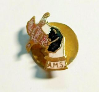 Antique Rare Hunting Button Pin Badge A Pointer Dog And Partridge - A.  M.  Silva