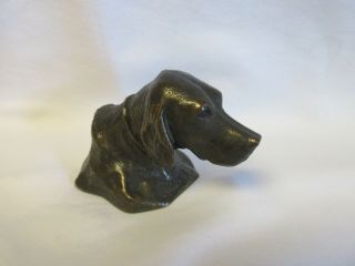 Antique Tiffany Studios Bronze Dog Bust " Shando " Paperweight – Finish