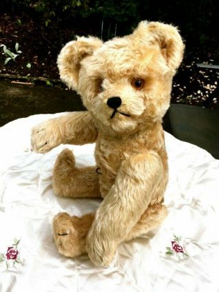 Antique / Vintage 17 Inch Large Schuco Yes No Teddy Bear 1940 