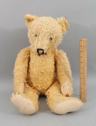 Lrg Antique Early 20thc Jointed,  Short Mohair,  Straw Filled Humpback Teddy Bear
