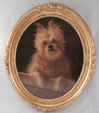 Antique 19c George Armfield (1808 - 1893) Painting Yorkshire Terrier Dog Portrait