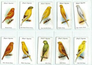 C 1933 Aviary & Cage Birds Players Cigarette Tobacco Card Complete Set 50