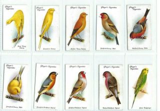 c 1933 AVIARY & CAGE BIRDS Players Cigarette Tobacco Card Complete Set 50 2