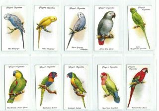 c 1933 AVIARY & CAGE BIRDS Players Cigarette Tobacco Card Complete Set 50 3