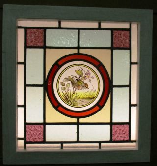 Victorian English Leaded Stained Glass Window Lovely Hand Painted Bird 17 