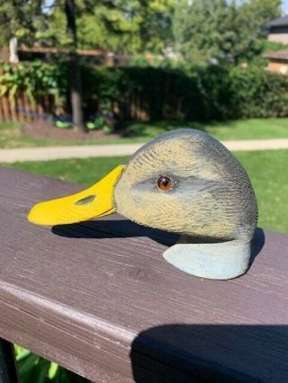 Old Ralph Malpage Black Duck Decoy Wooden Head - Painted,  Glass Eyes