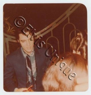 Elvis Presley Rare Vintage Color Candid Photo Beverly Hills Ca 1968 1