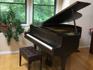 Well Antique 1918 Wissner - Reinhard Baby Grand Piano With A Bench