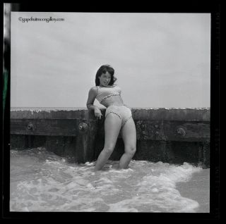 Bettie Page 1954 Camera Negative Bunny Yeager Vampy Fun Pose Seaside In Surf FAB 2