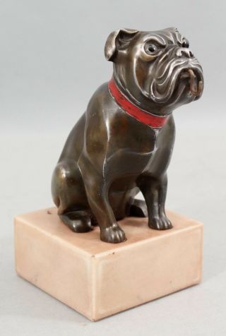 Antique 1920s,  Bronzed Spelter Bulldog,  Glass Eyes,  Pocket Watch Holder