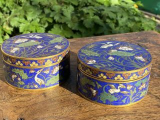 Mirrored Chinese 18th / 19th Century Cloisonne Boxes Decorated Birds