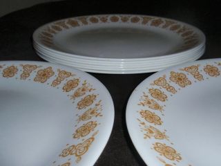Vintage Corelle Set Of Eight (8) 10 1/4 " Butterfly Gold Dinner Plates.