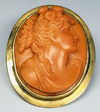 Antique 19th Century Hand - Carved Coral Cameo In 10k Gold Frame Pin Pendant