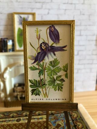 Vintage Dollhouse Framed Botanical Print - “ALPINE COLUMBINE 