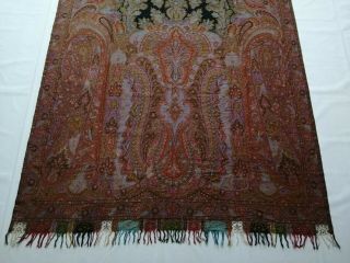 Antique French Paisley Kashmir Shawl Woolen Multi Color 343x162cm 2