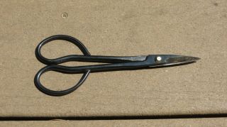 Vintage Hand Forged Japan 7 " Bonsai Snips Scissors Shears