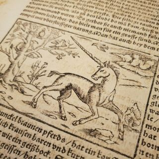 1493 Nuremberg Chronicle Unicorn Mythology Woodcut Single Leaf Incunable Scarce