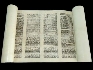 Torah Bible Large Vellum Scroll Complete The Book Of Deuteronomy 80 - 100 Yrs Old