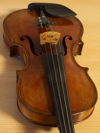 Very Old Labelled Vintage Violin " Stefano Scarampella " 小提琴 скрипка Geige 1052
