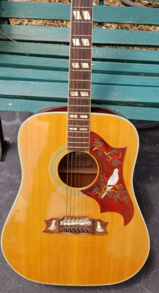 Alvarez 5024 Dove Acoustic Guitar Made in Japan Lawsuit Guitar 3