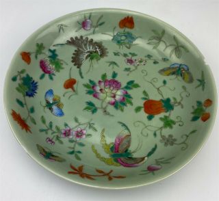 Vintage Chinese Export Famille Rose Enamel Green Celadon Porcelain Plate Nr Sms