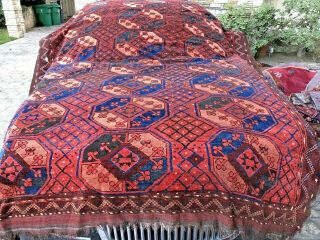 Auth: 19th C Antique Turkmen Main Rug Collectors Tribal Ersari Art Red 7x9 Nr