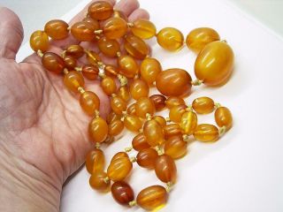 Antique Victorian Long Natural Baltic Amber Bead Necklace 81 Grams