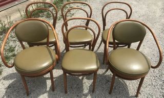 Set Of 6 Thonet Antique Bentwood Chairs / Some With Factory Labels
