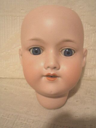 Antique German Am Bisque Doll Head/ Grey Sleep Eyes