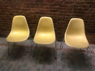 3 Vintage Herman Miller Yellow 1 Orange Fiberglass Shell Chairs Mid Century