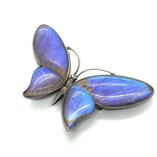 Antique Art Deco Silver Butterfly Wing Huge Brooch 145