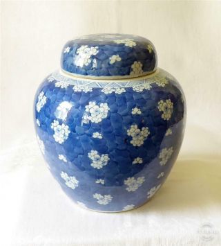 Very Large Antique 19th Century Chinese Blue And White Ginger Jar C1800 - 50
