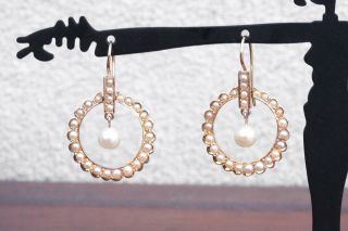 Early 20th Century Antique Pearl & 14K Gold Drop Earrings,  French Hook 2