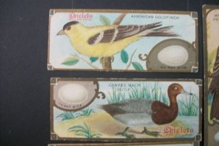 LIKE CIGARETTE TOBACCO CARDS SEN SEN CHICLETS GUM BIRD STORIES CARDS 2