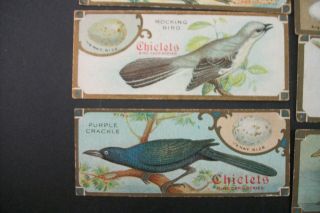LIKE CIGARETTE TOBACCO CARDS SEN SEN CHICLETS GUM BIRD STORIES CARDS 3