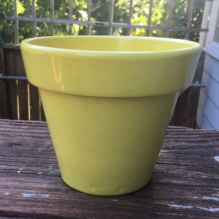Vintage Stangl Pottery Yellow Flower Pot 4” X 5” Hand Painted Usa Trenton Nj
