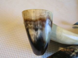 Vintage Carved Cow Horn Shaped Ashtray Hand Made Double Rest,  Match Holder V