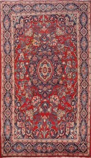 Vintage Floral Ghazvin Hand - Knotted Area Rug Traditional Oriental 4x6