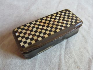19th Century French Horn Snuff Box W/ Checkered Lid