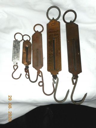 Vintage Old Fishing Pocket Scales Made In Germany & England (lbs) X 5